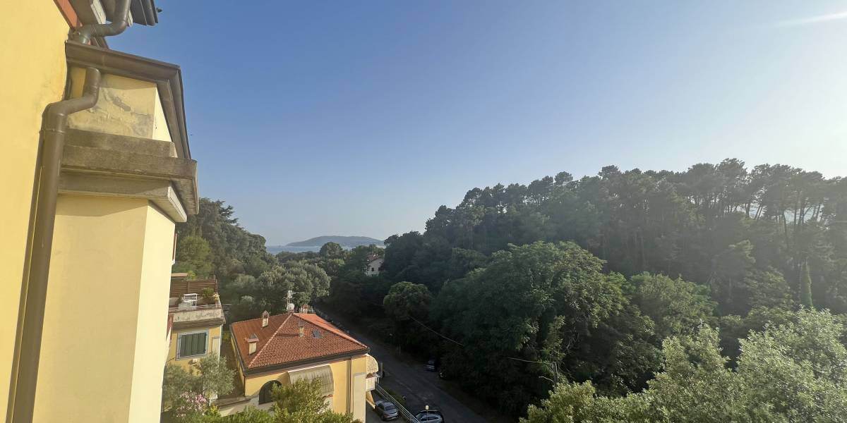 panorama
